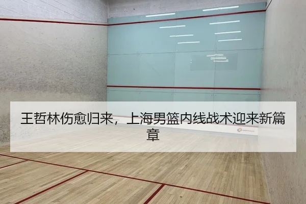 王哲林伤愈归来，上海男篮内线战术迎来新篇章